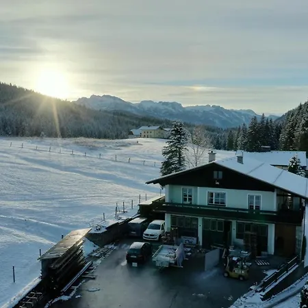 Haus Schattau * Russbach am Pass Gschuett