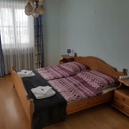 Haus Schattau Apartment Russbach am Pass Gschuett